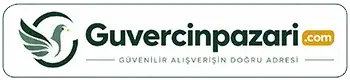 Logo 3